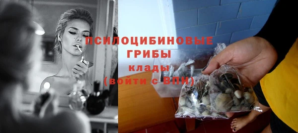 дурь Балахна
