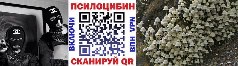Галлюциногенные грибы прущие грибы Пугачёв